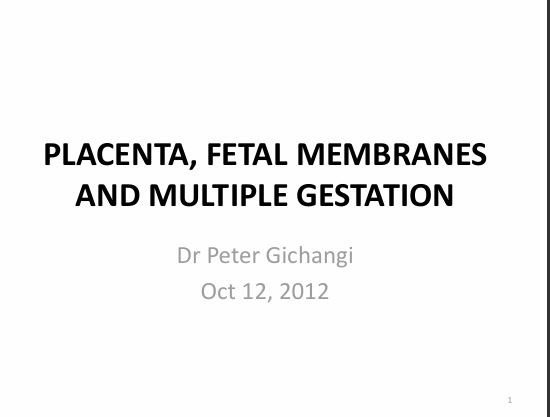 No preview available